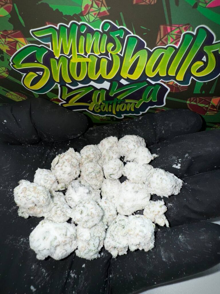 Persy minis snowballs zaza edition